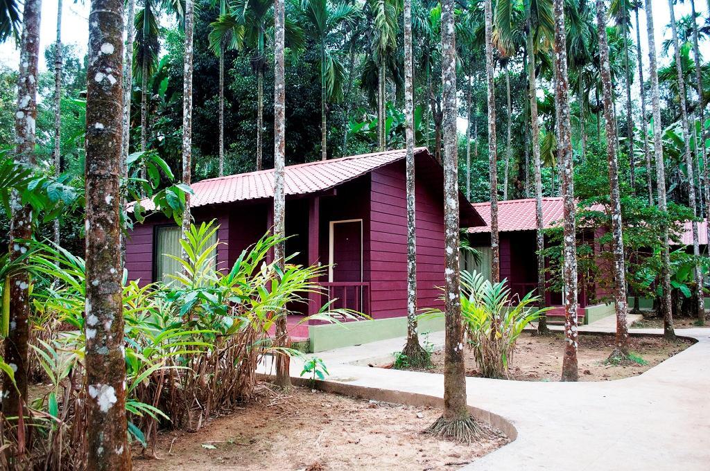 La Flora Prakruth Resort Coorg Madikeri Eksteriør bilde